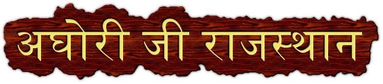 aghorijirajasthan.com